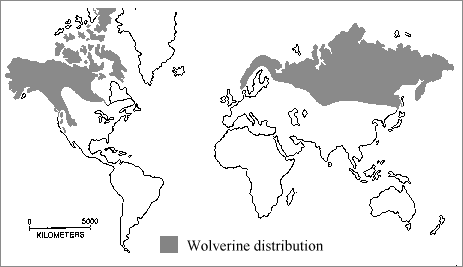 Distribution