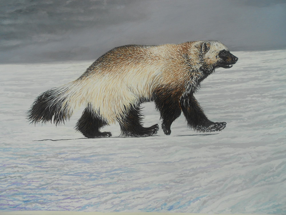 Kamchatkan Winter - Art Print - The Wolverine Foundation